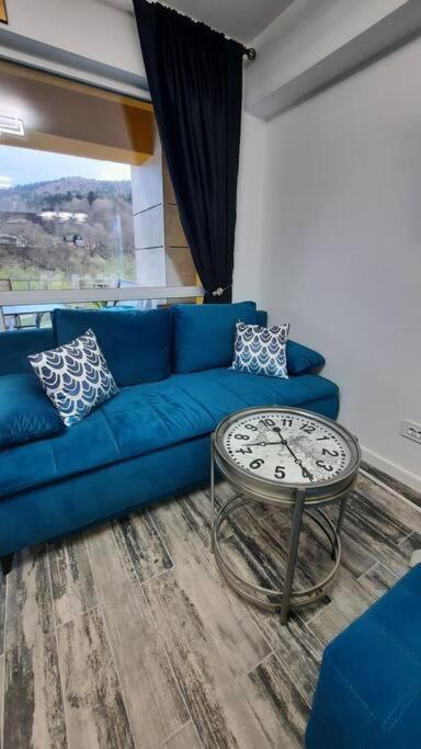 Apartament Erika Premium סינאיה מראה חיצוני תמונה
